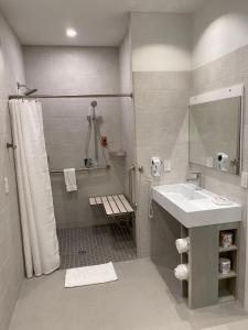 迈阿密普昂斯里昂酒店的一间带水槽和淋浴的浴室