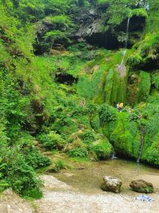 Le ValdahonLes jardins d'armance的一群人站在一条有瀑布的河流里