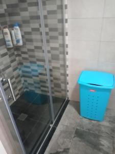 RetortaCasa Castrelo的浴室设有蓝色垃圾桶和淋浴