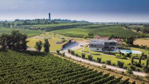 波佐伦戈COBUE "Wine resort & Spa"的葡萄园和田间房子的空中景观