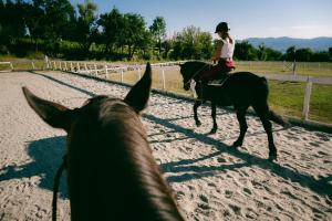 雷杰洛La Piazza di San Donato的骑着马与女孩一起骑的