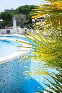 切尔维亚Hotel Conchiglia的游泳池旁的棕榈树