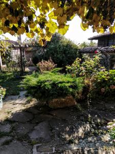 泽拉夫纳Къщата на художника的庭院里种满灌木和鲜花的花园
