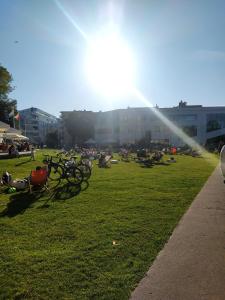 格丁尼亚Och!hostel的一群人坐在公园的草地上