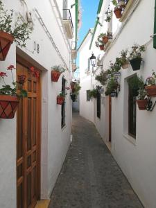 普里埃格·德·科尔多巴Casa de La Costurera的一条种植了盆栽的狭窄小巷和一扇门