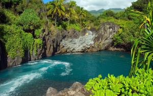 基黑Maui Vista - Kihei Kai Nani Beach Condos的丛林中的河流