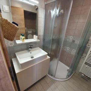 莫斯特拉纳Apartma Rožle的一间带水槽和淋浴的浴室
