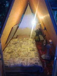 南奔看潮豪华帐篷的帐篷内一间卧室,配有一张床