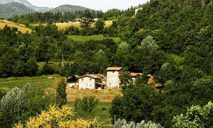 Villa CollemandinaAgriturismo Paneolio的树木林立的田野中的房子