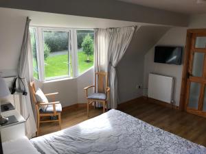 莫纳汉Grove Lodge B&B的一间卧室配有一张床、两把椅子和一个窗户
