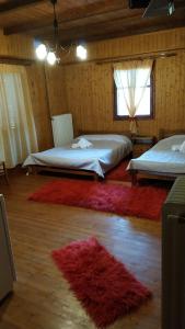 AthamanioAthamania Artas的一间带两张床的卧室和红色地毯