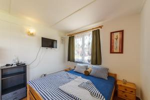 霍尼普拉纳Camping u Kukačků的卧室配有一张床,墙上配有电视。