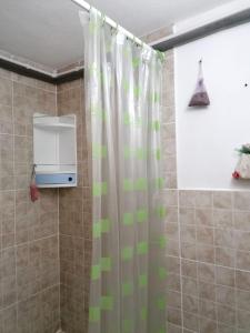 默尔德雷什蒂La Foisor的带淋浴帘和微波炉的浴室