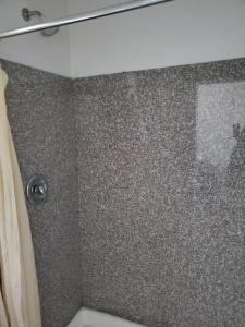 希斯皮里亚High Desert Inn的带淋浴和浴帘的浴室
