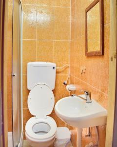 VinciBrvnare Spasić的一间带卫生间和水槽的浴室
