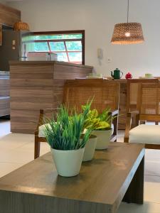 马塞约Resort Villas do Pratagy的厨房里木桌上三株盆栽植物