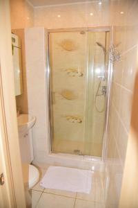 敖德萨Center of Odessa. Comfortable 2 rooms apartment的带淋浴、卫生间和盥洗盆的浴室