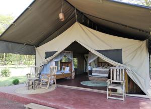 Africa Safari Lake Manyara located inside a wildlife park平面图