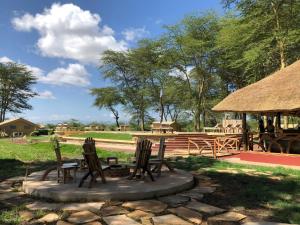 姆托瓦姆布Africa Safari Lake Manyara located inside a wildlife park的一个带桌椅的庭院和一个野餐棚