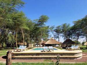 Africa Safari Lake Manyara located inside a wildlife park内部或周边的泳池