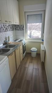 普利特维采湖亚历克斯公寓 的一个带水槽和窗户的小厨房