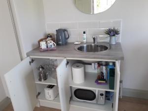洛赫雷Lakeside Loughrea的浴室配有盥洗盆和微波炉。