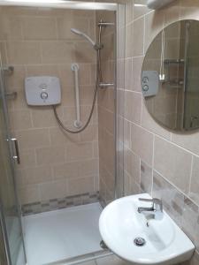 洛赫雷Lakeside Loughrea的带淋浴、盥洗盆和镜子的浴室