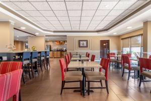 阿森斯雅典康福特茵酒店及套房的一间带桌椅的餐厅和一间酒吧