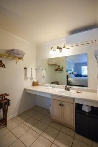 格伦艾伦杰克伦敦小屋宾馆的一间带水槽和大镜子的浴室