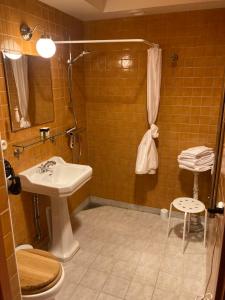 Börsen Apartment Suites的一间浴室