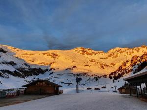 BrienzwilerFerien im Paradies的滑雪小屋前的雪覆盖的山