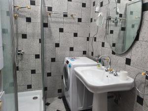 采列Apartments Fazarinc的一间带水槽和洗衣机的浴室