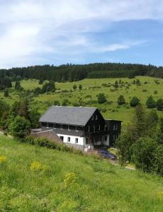 格拉芬道尔Familienpension Obere Juchhe, Ferienwohnung und Zimmer的绿色田野中的黑白房子