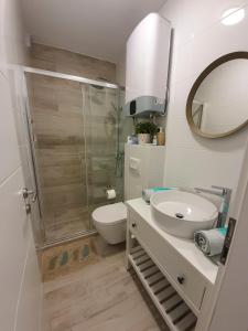 扎达尔Viva Zadar的一间带卫生间、水槽和镜子的浴室