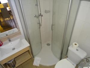 鲁汶鲁汶康多花园酒店的带淋浴、卫生间和盥洗盆的浴室
