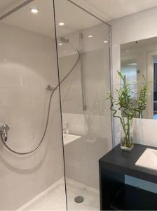 布鲁塞尔MAS Aparthotel EU的一间带玻璃淋浴和水槽的浴室