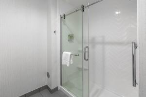 格林维尔Holiday Inn Greenville - Woodruff Road, an IHG Hotel的浴室里设有玻璃门淋浴