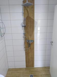 巴德甘德尔斯海姆Monteurzimmer\Ferienwohnung的浴室设有木制门淋浴。