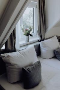 AmerangDAS STEIN的一张带枕头的床和一个带花盆的窗户