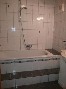 蒙德塞Dirnbergerhof的浴室设有浴缸和淋浴。