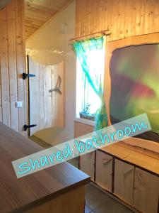拉克塞尔夫Wild Caribou Dome的一间卧室设有淋浴和一个带窗户的浴缸。