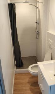 勒沙托多莱龙Appart' Islande的带淋浴、卫生间和盥洗盆的浴室