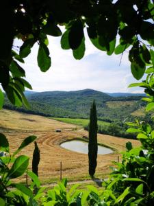 AlleronaAgriturismo Selvella的享有田野和中部湖泊的景色