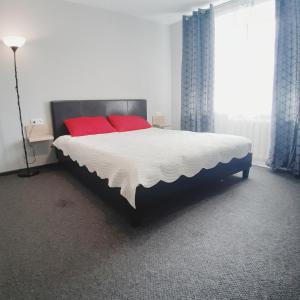 罗夫诺Міни - готель в центрі Apartment in Center的一间卧室配有一张带红色枕头的大床