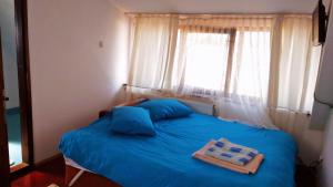 上维谢乌Casa Toth din Țipțerai的一间卧室配有一张蓝色的床和窗户