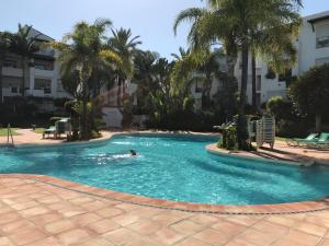 EsteponaApartment Costalita, direct beach access, ground floor, salt water pool的在棕榈树游泳池游泳的人