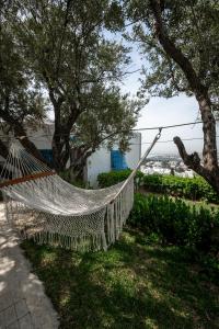 西迪·布·赛义德La Villa Des Oliviers的树旁草地上的吊床