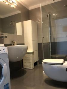 绿山城Apartament Ptasia的浴室配有卫生间、盥洗盆和淋浴。