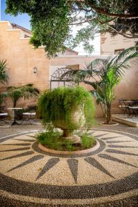 干尼亚卡萨德尔斐诺温泉酒店的庭院中央的喷泉