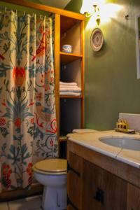 达尔比蒂The Lady Maxwell Room at Buittle Castle的一间带水槽、卫生间和淋浴的浴室